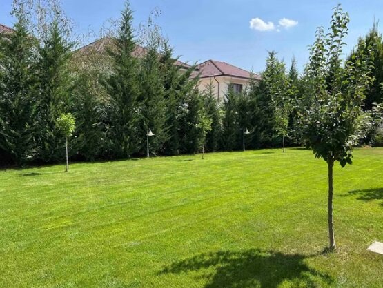 Piqet Garden, showroom plante de gradina, Amenajari gradini de lux